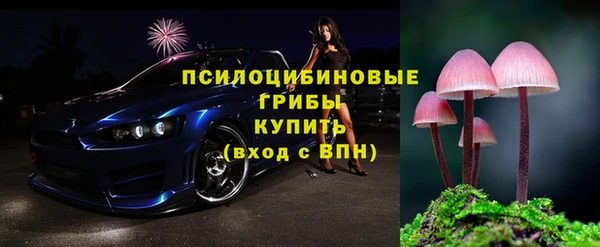 круглые Белокуриха