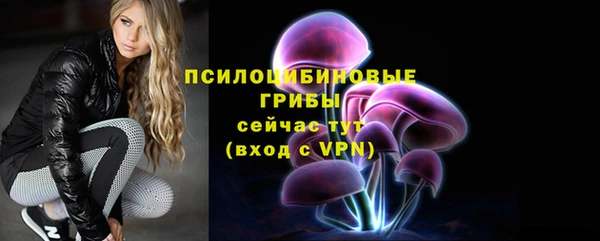 ALPHA-PVP Богородицк