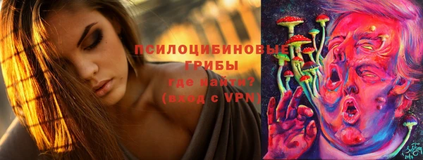 круглые Белокуриха
