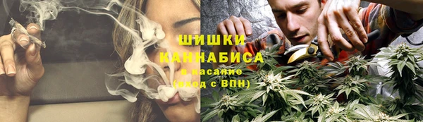 круглые Белокуриха